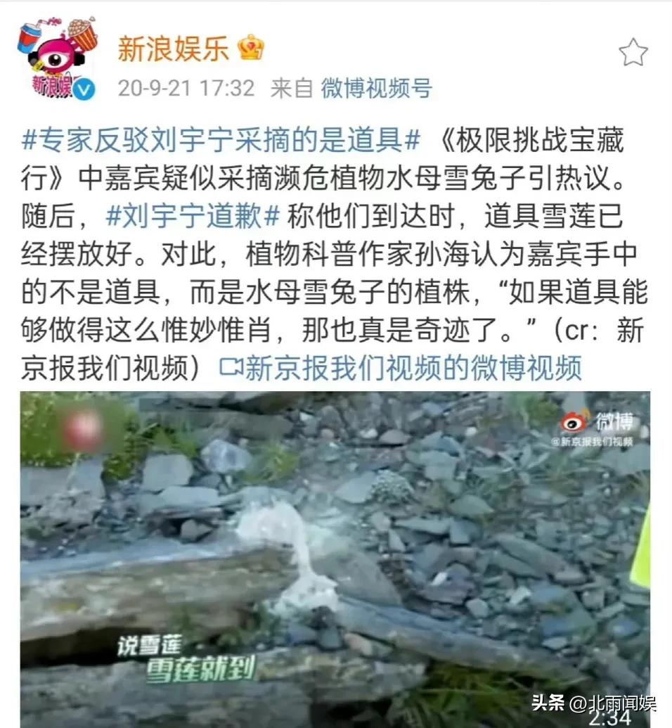 主播采摘二级保护植物“水母雪兔子”，研究员：样本都舍不得摘