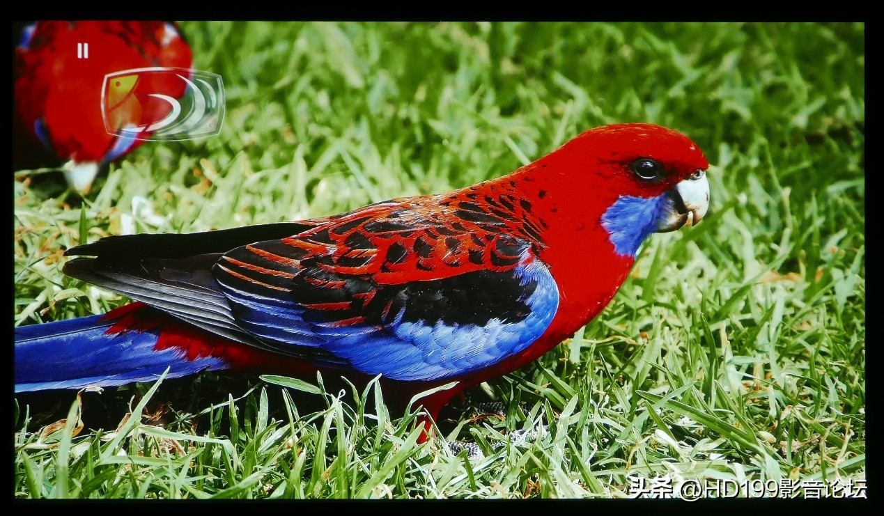 优派px749-4k拆解,优派px749-4k带系统吗