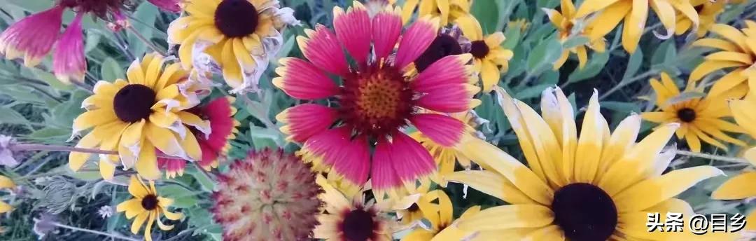 老年人变卖唯一房产 (老人把唯一住房卖掉租房住合适吗)