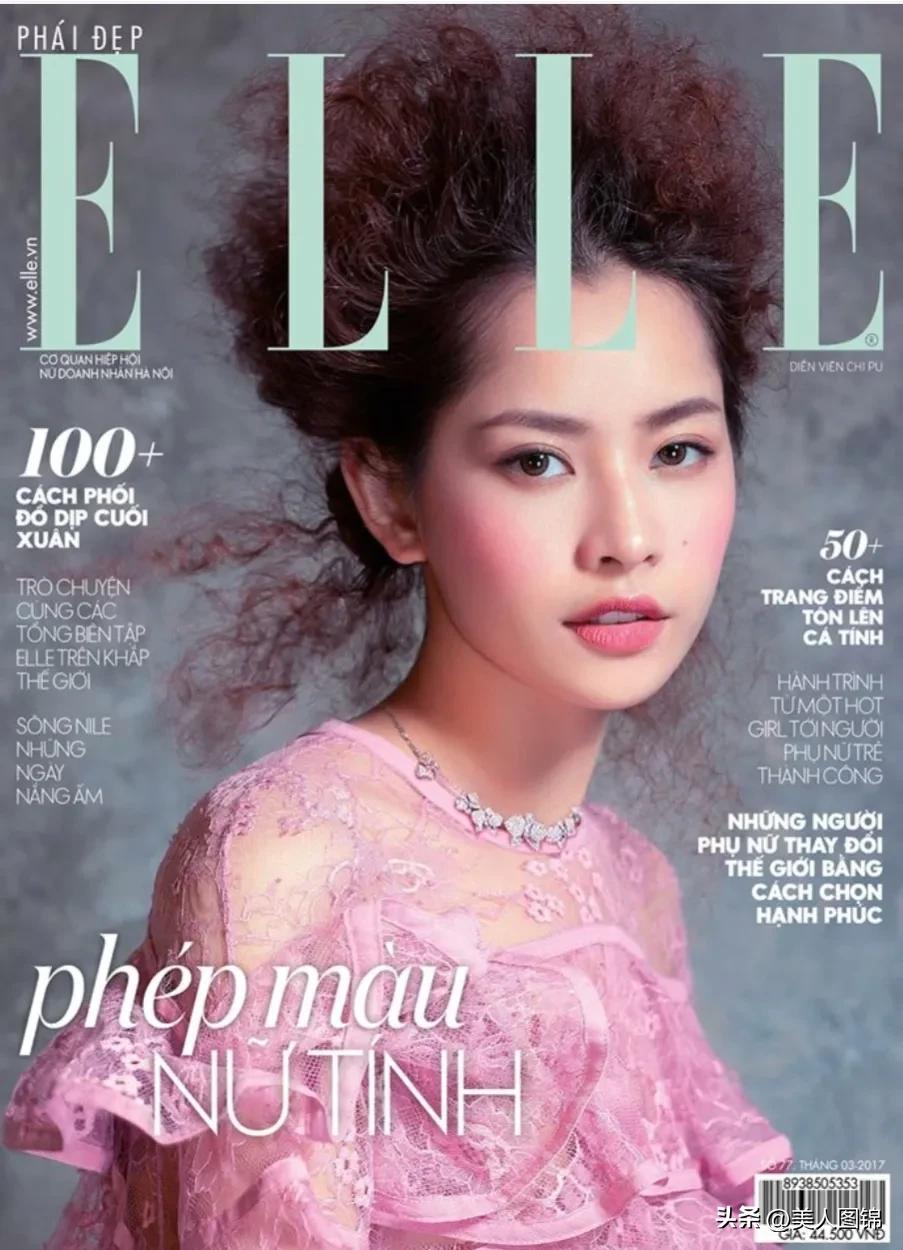 越南芝芙,芝芙越南