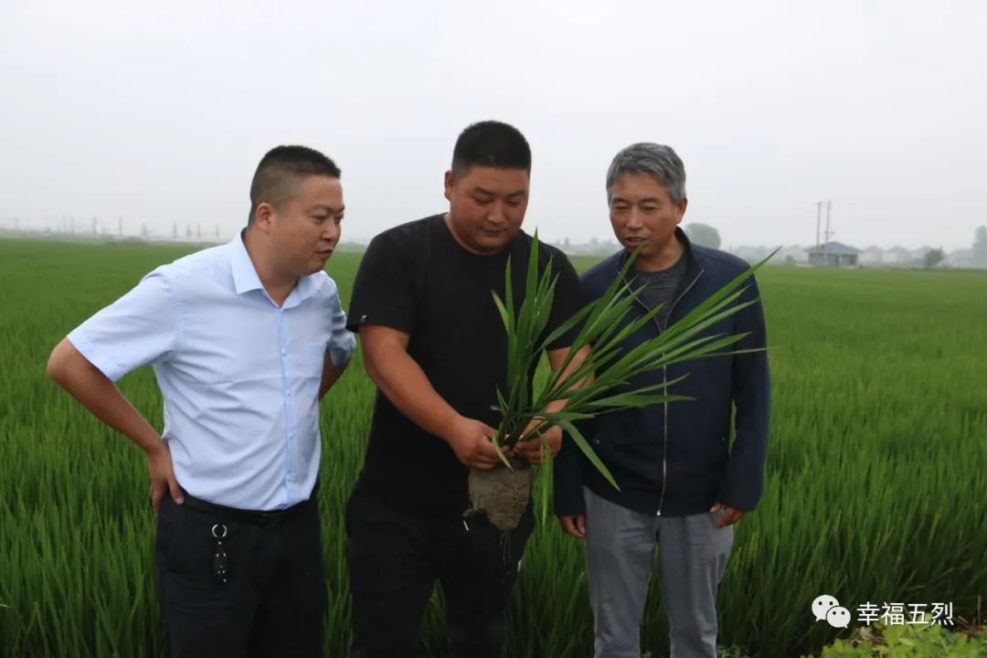 返乡种地的90后新农人,江苏90后新农人