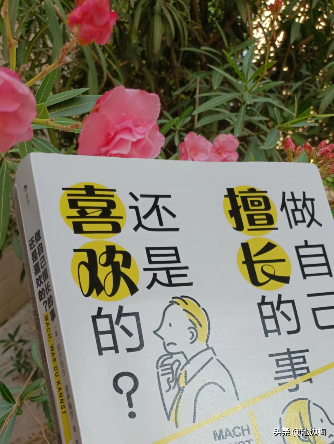 在自己最擅长的领域做最好的自己,在自己擅长的领域做最好的自己