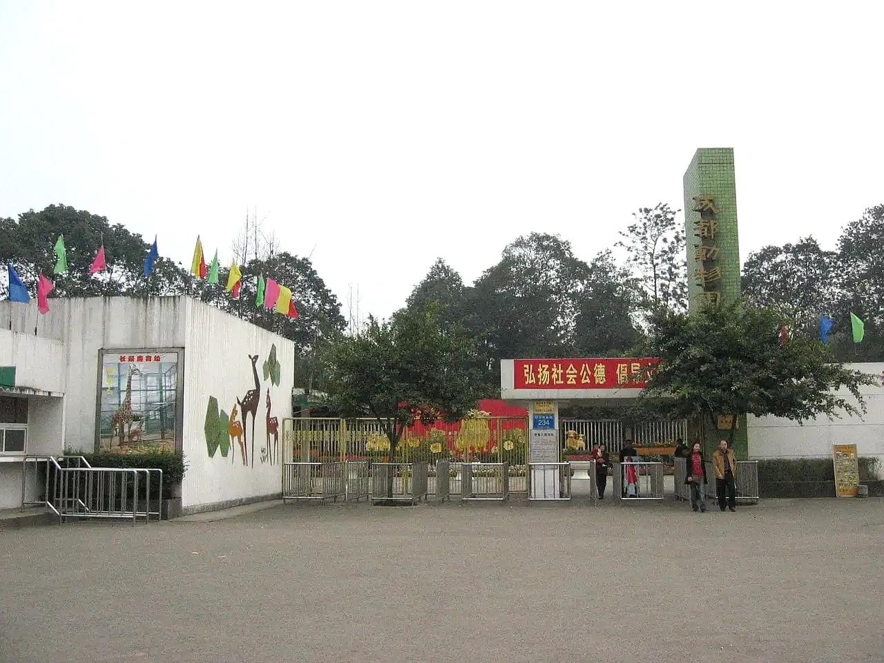 成都动物园最近视频,成都动物园作文