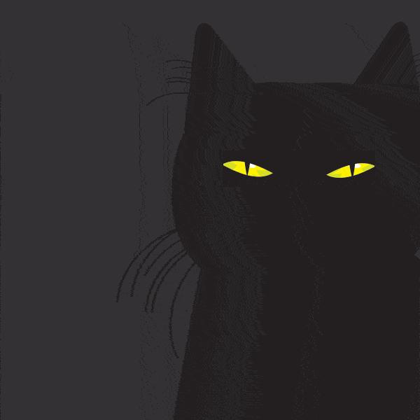 玄猫为什么辟邪,玄猫应该散养还是笼养