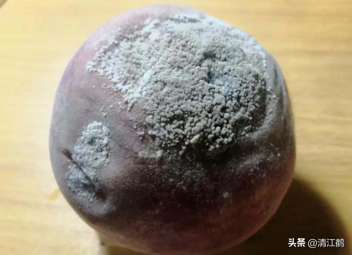 冬桃裂果是什么原因,冬桃烂心咋回事