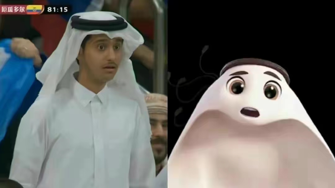 卡塔尔小王子走红涨粉,卡塔尔小王子涨粉速度