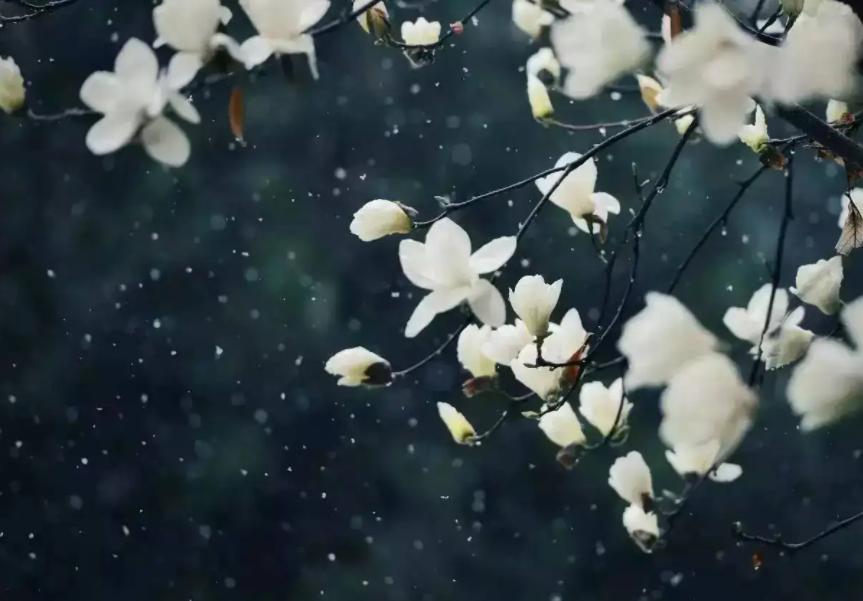 春日正好莫负春光,春日诗集大赏