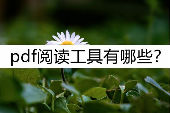 有什么好用的pdf阅读工具,pdf阅读器哪个好用可以预览