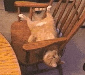 做服务员没口才,做服务员没有工作怎么办