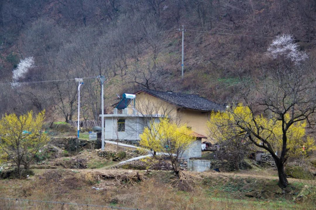 疫情让秦岭山村变得更加寂静，寻访秦岭坪沟，尽量不主动接触村民