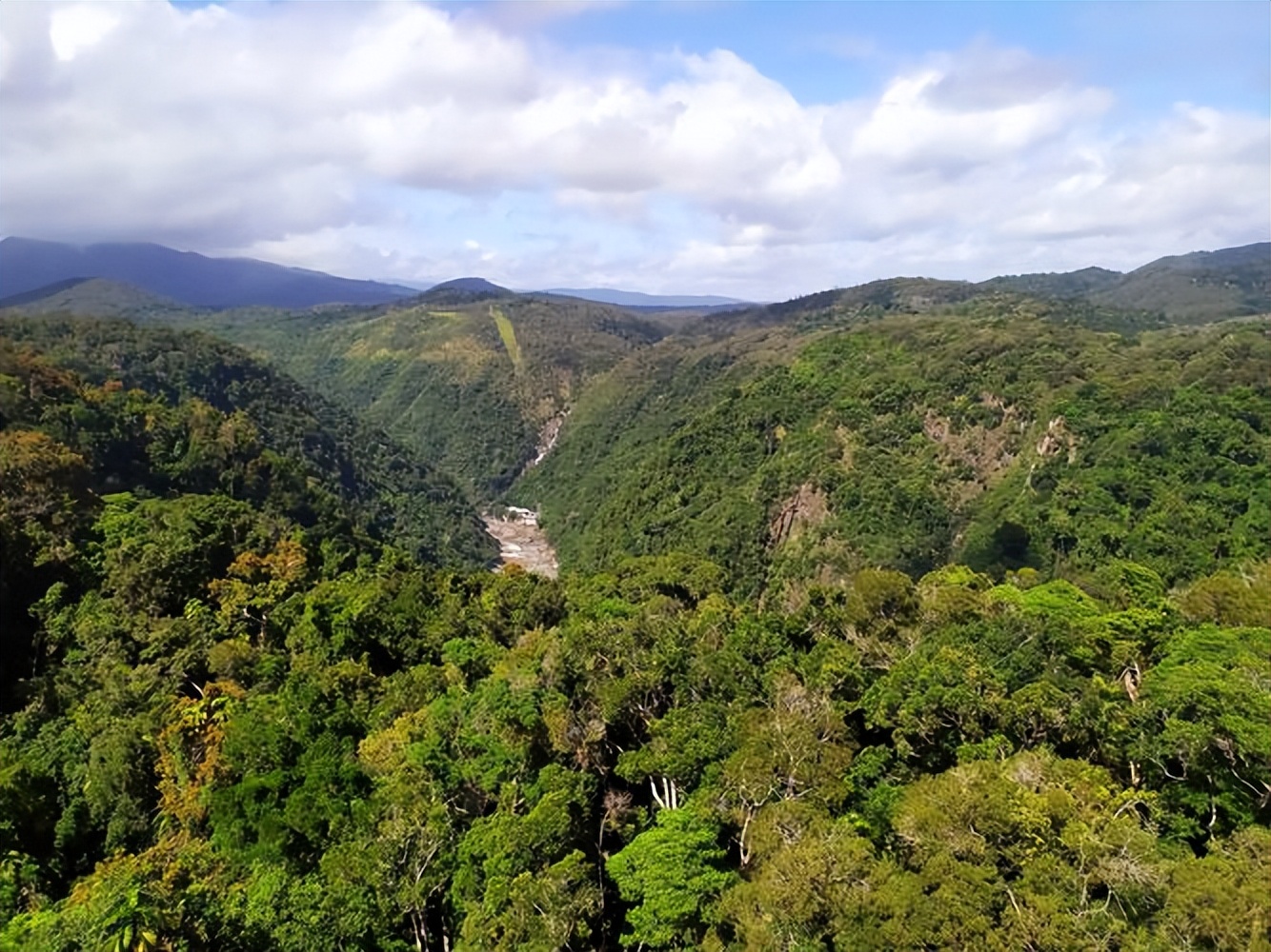 热带雨林是地球之肺教学视频,热带雨林是开发还是保护