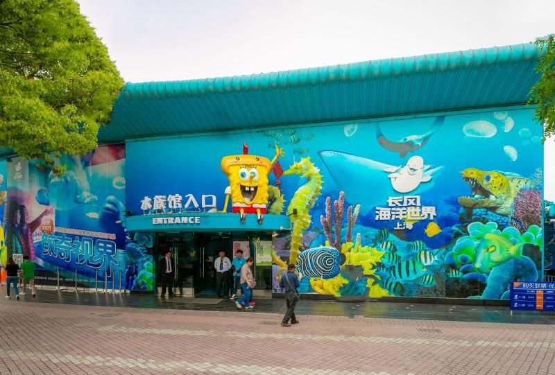 上海旅游攻略海洋世界,上海海洋梦幻之旅