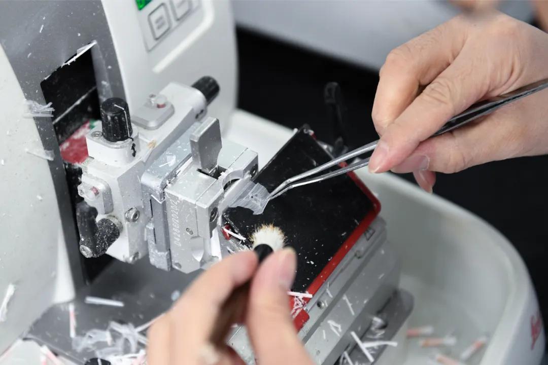 活体病理切片是什么,探访医院病理科