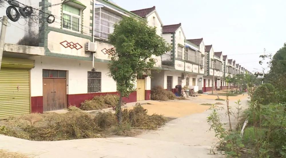 无人购买却遍地都是的麻花车,没人买的天津麻花