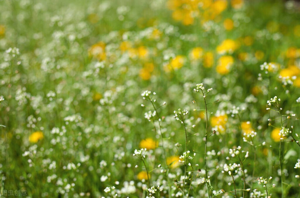 人流以后要做子宫康复治疗,人流后需要去医院做康复项目吗