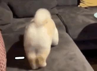 男性胸前两个点叫什么,男性胸前两个点