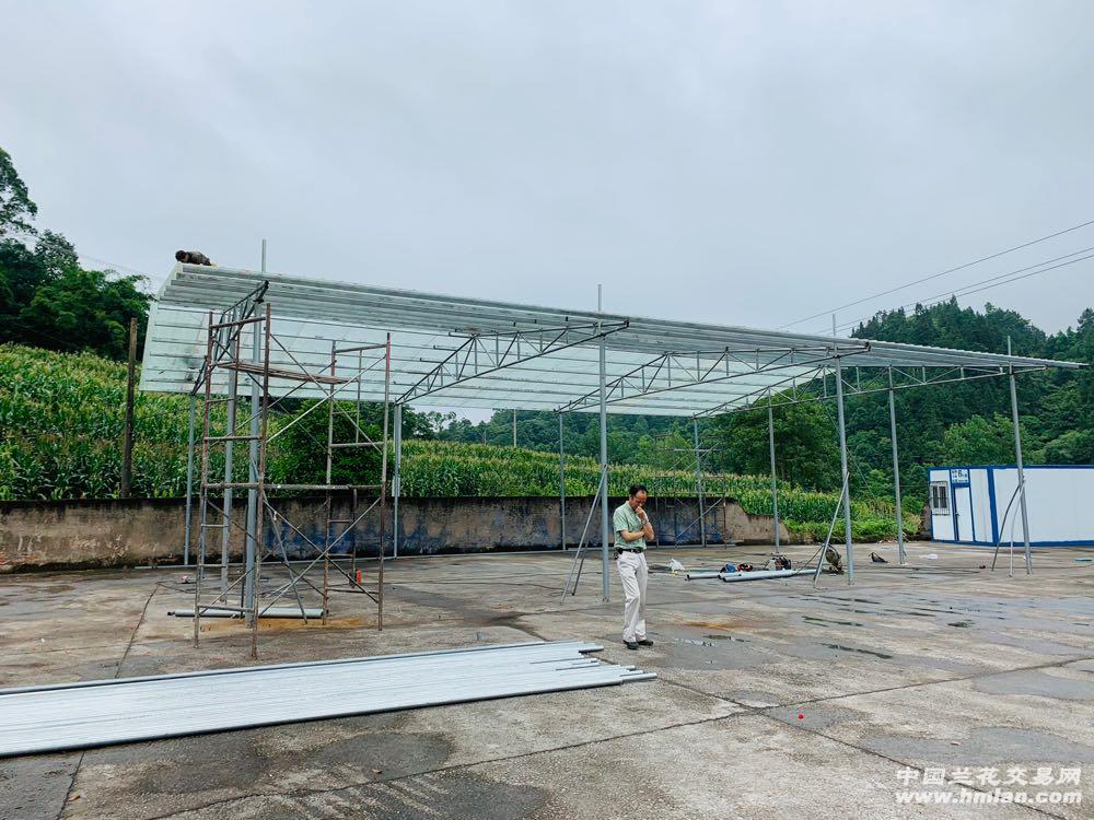 80鍚庡皬浼欏吇鍏扮殑骞冲焊鐢熸椿,90鍚庡吇鍏颁汉鎴愬姛妗堜緥