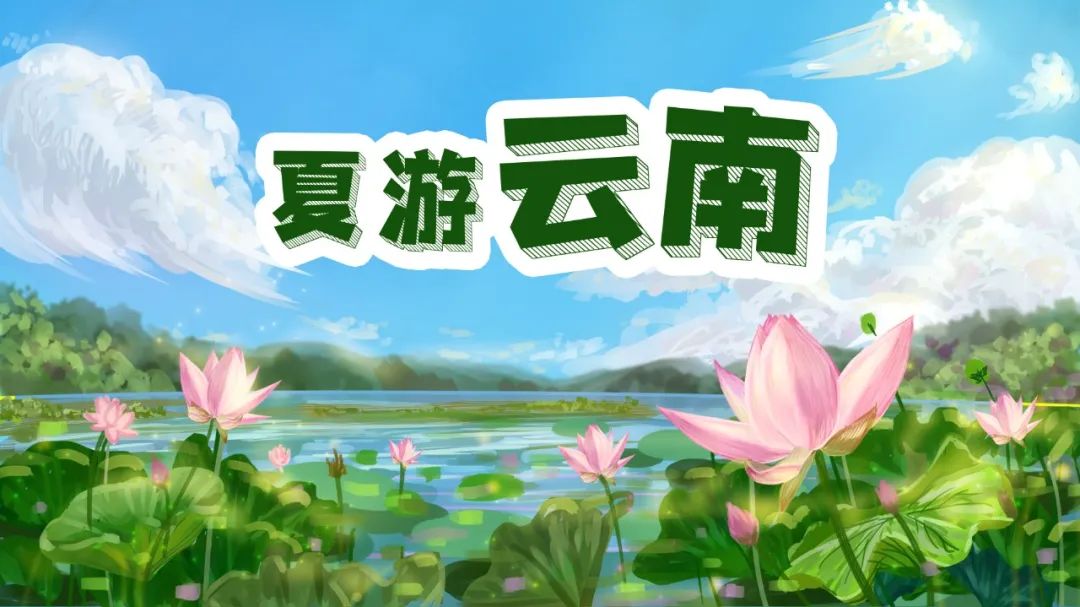 云南西双版纳花海美景,云南西双版纳景色如画