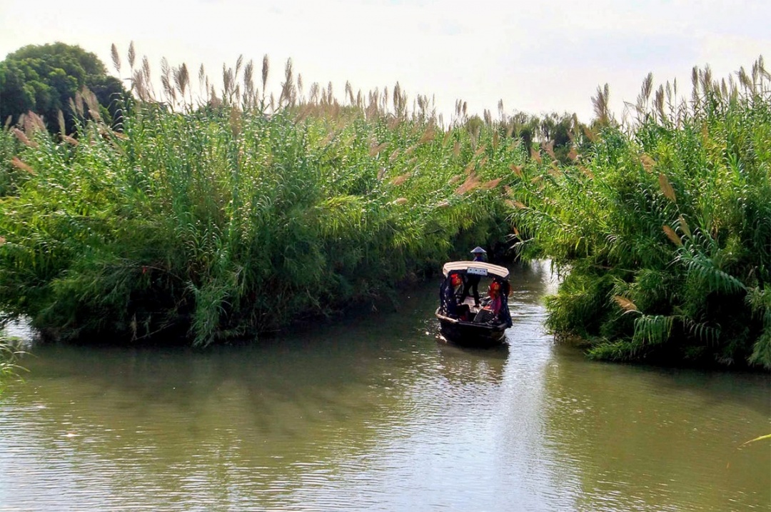 苏州避暑纳凉好玩的地方,苏州南通避暑