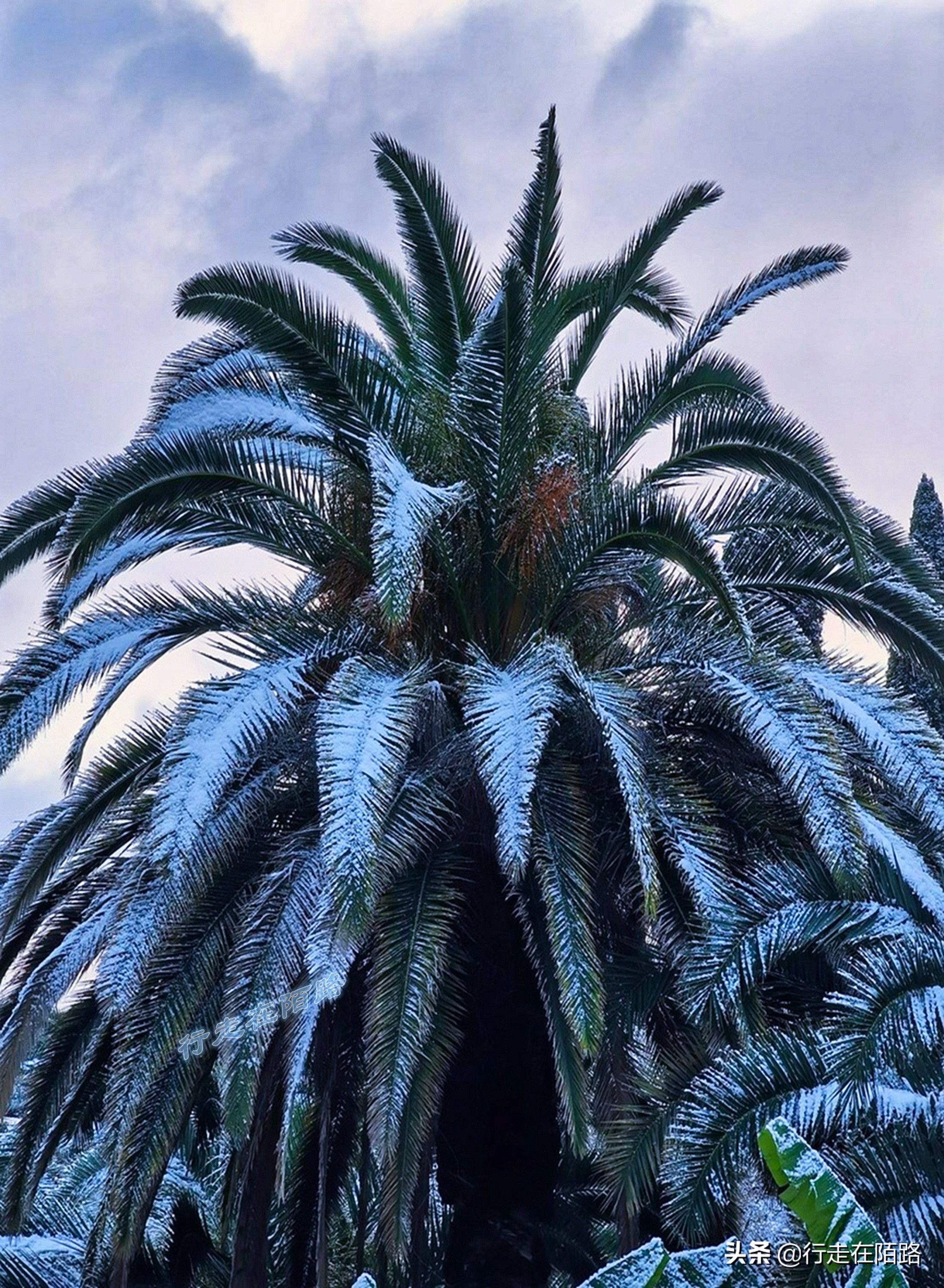 俄罗斯索契天气,俄罗斯索契冰天雪地