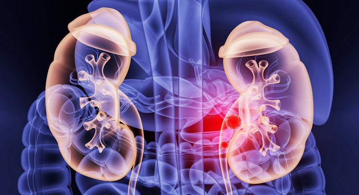 头顶白发什么原因如何根治,白头发怎么调理白发最多