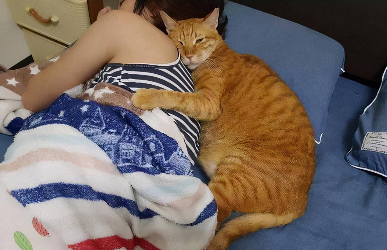 跟猫睡有什么好处有什么坏处,养猫到底该不该和猫一起睡