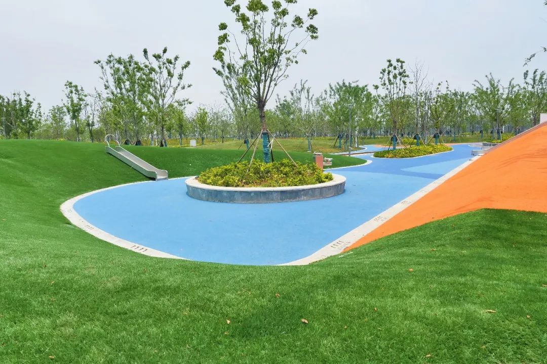 形似“如意”，气蕴“青花”！中建八局承建的安徽省运动会主场馆通过竣工验收