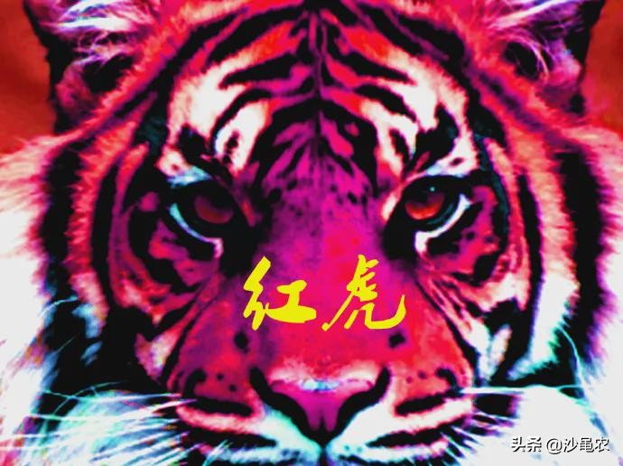 股市早8点股票资讯,股市早8点会跌吗