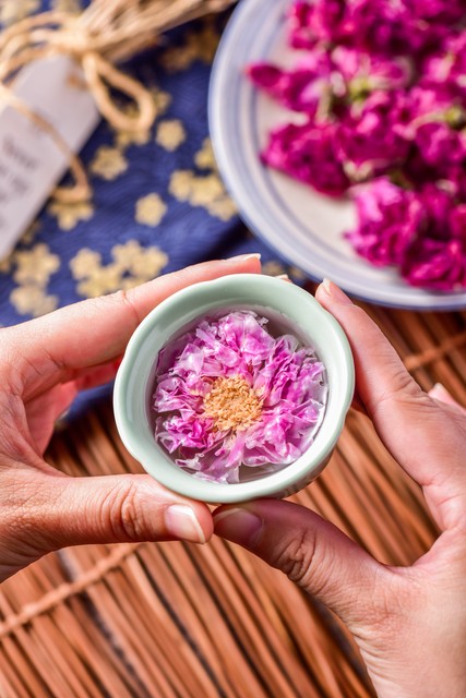 美容养生新活动,美容养生新闻推广策划