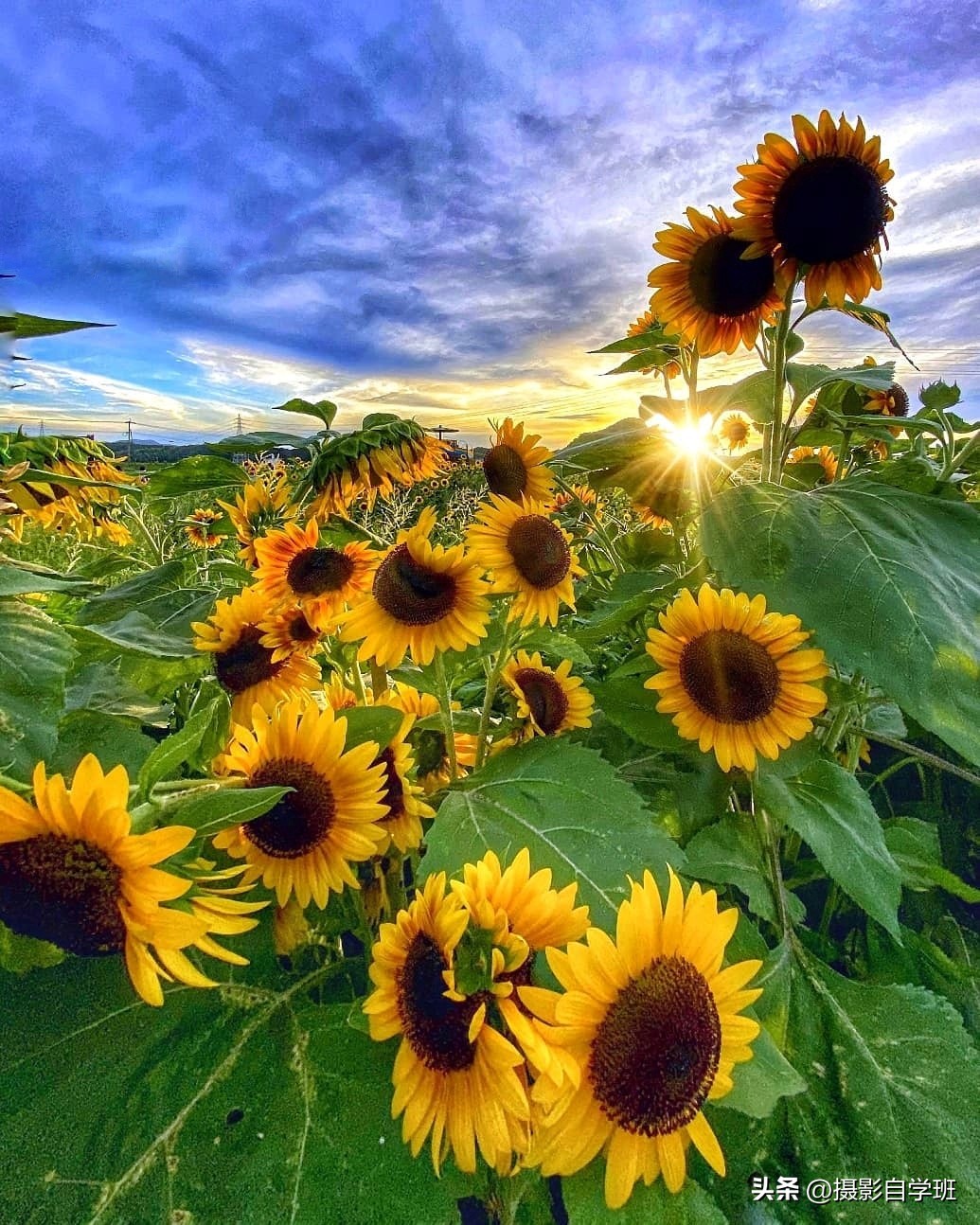 夏天怎么拍照更有夏天感觉,如何拍好夏天的照片