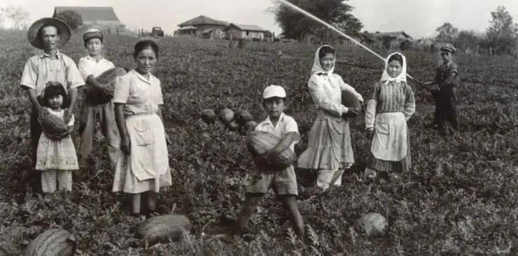 巴西足球强国,巴西为什么要成为超级强国