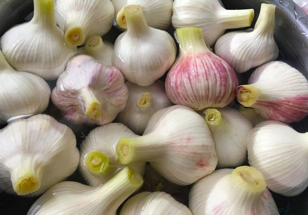 腌糖蒜只放糖和醋可以吗,腌糖蒜只放雪碧行吗