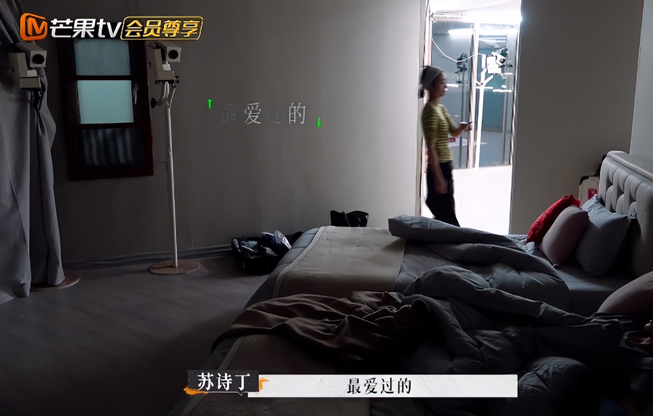 苏诗丁和卢歌再见爱人结局,再见爱人2苏诗丁和卢歌复合了吗