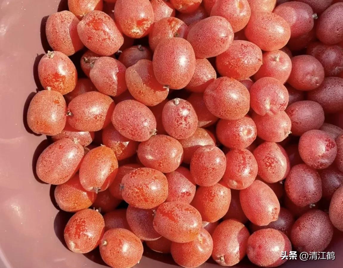 很多人没见过的奇怪生物,都没见过的奇特瓜果蔬菜