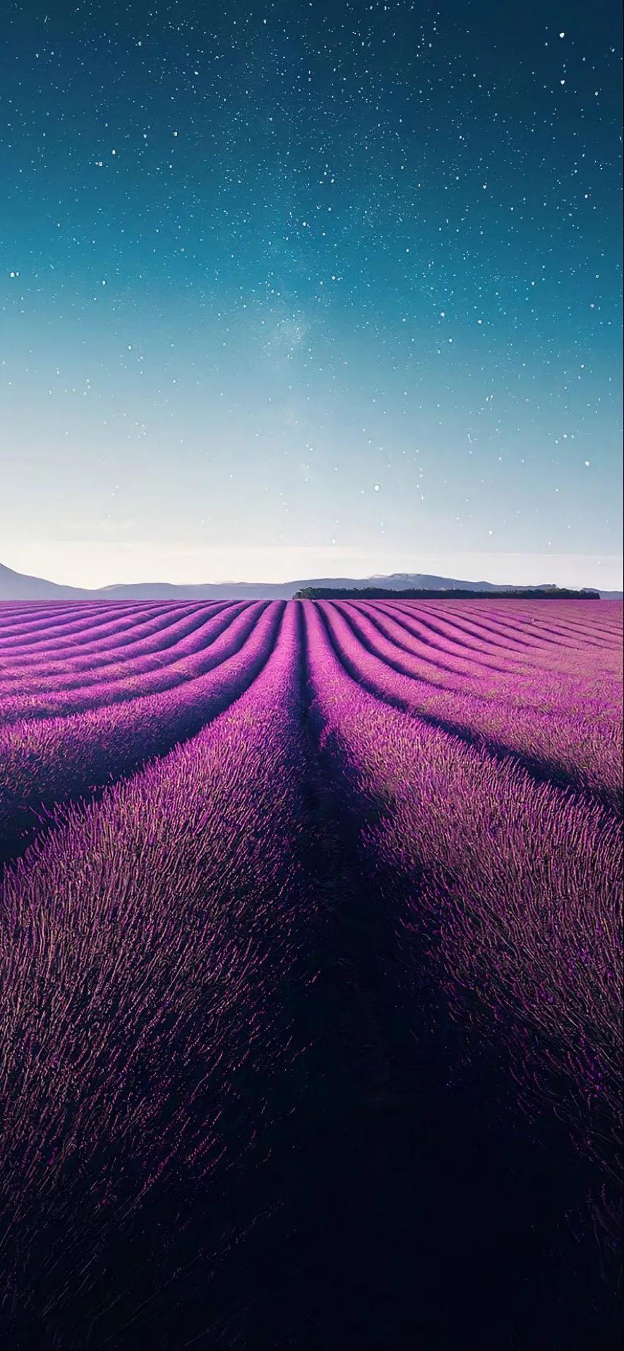 手机壁纸每一张与每一张不一样,手机壁纸各种风格