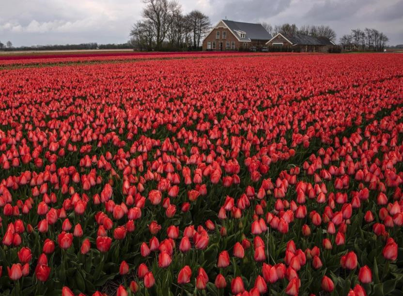 印度男子骑自行车去瑞典,印度男子跨越亚洲找爱情