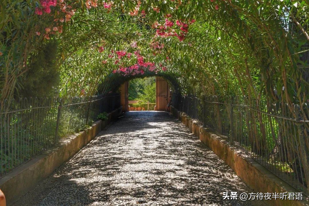 阿尔罕布拉宫精美之处,阿尔罕布拉宫的回忆绝美