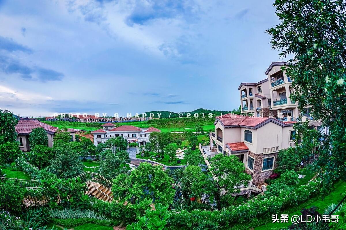 摩根大通增持碧桂园,摩根大通为什么投资碧桂园