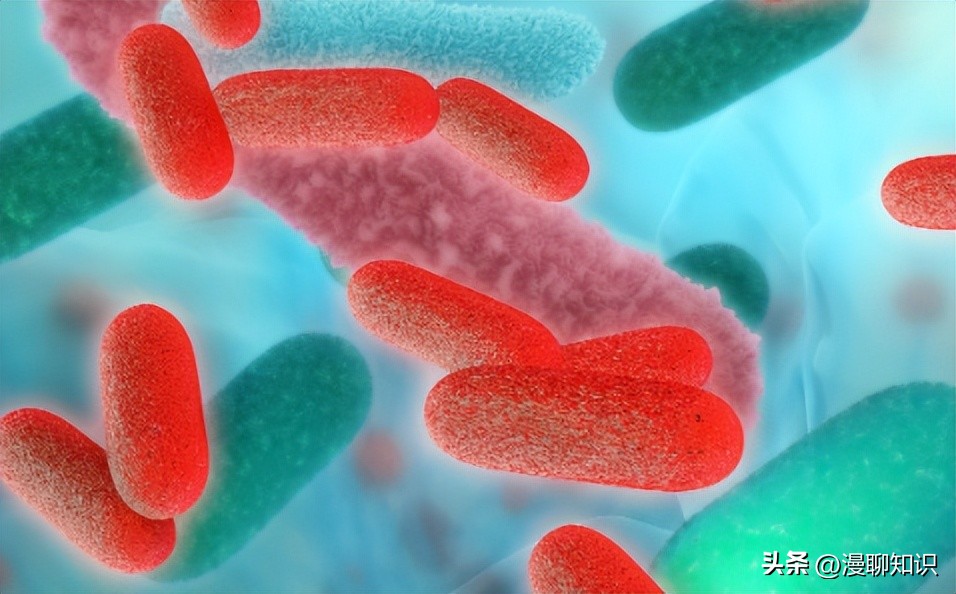 副猪嗜血杆菌是一种巴氏杆菌，其生长依赖于V因子，还有其他的吗