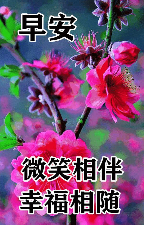 早安心语正能量语录简短句子图片,2020.12.9早安心语正能量走心语录