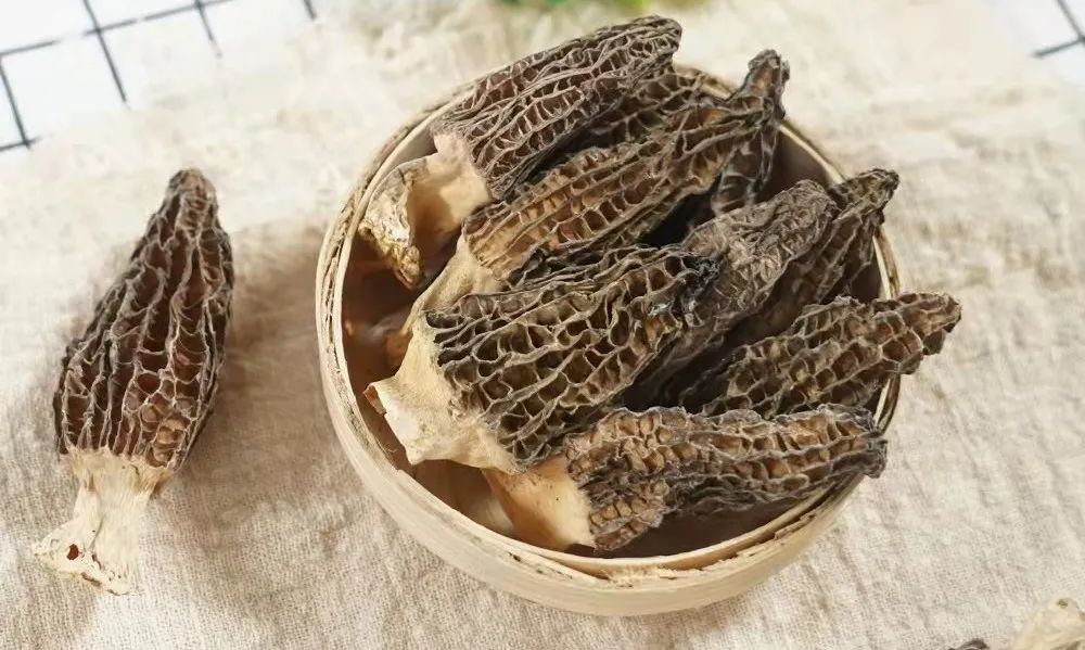 菌菇精选礼盒羊肚菌,菌菇益生宝对羊肚菌的作用和功效
