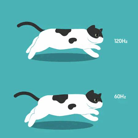 雷鸟airplus测评,雷鸟airplus详细参数配置