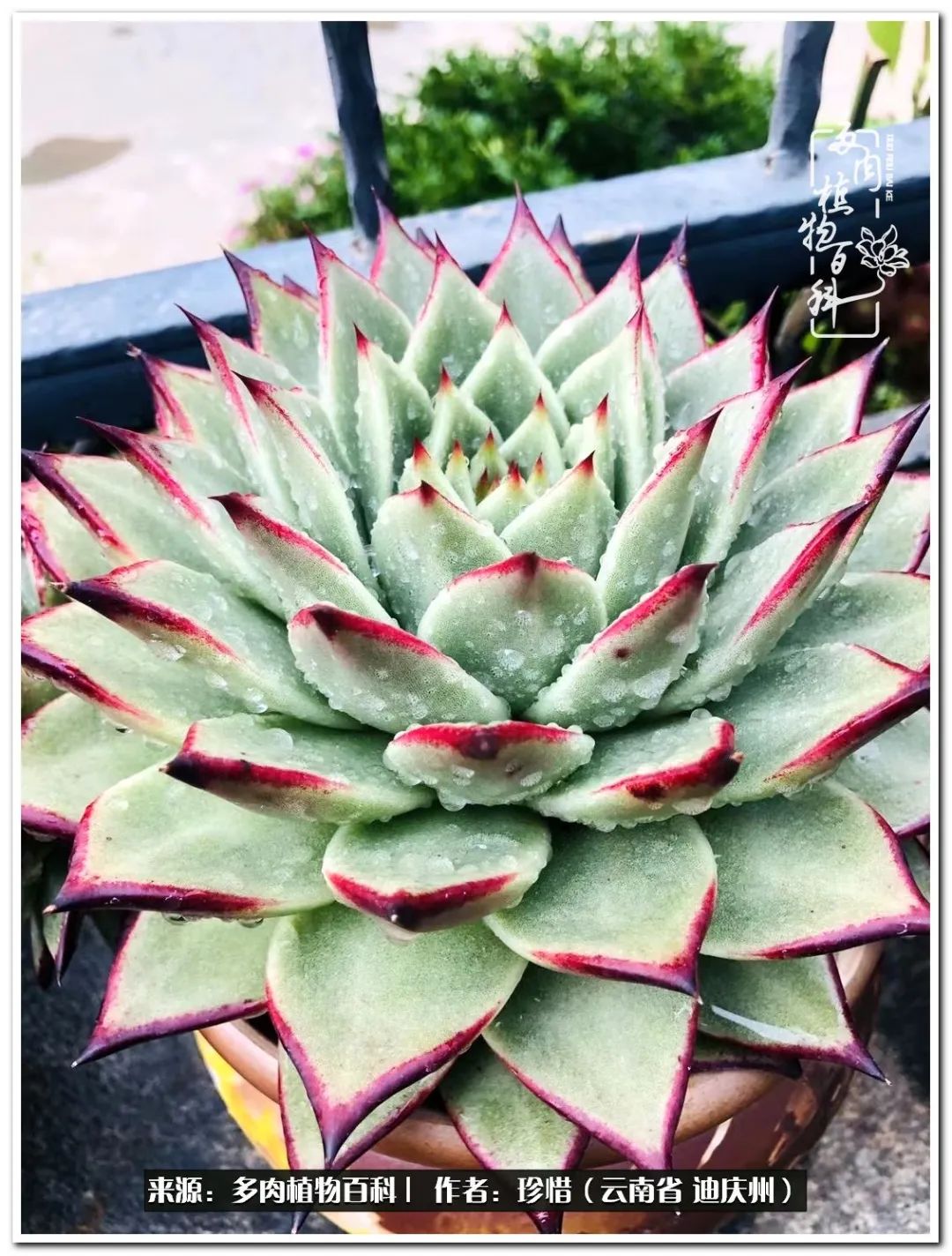 给生命一份淡然还岁月一份从容,给生命留一份洒脱的话