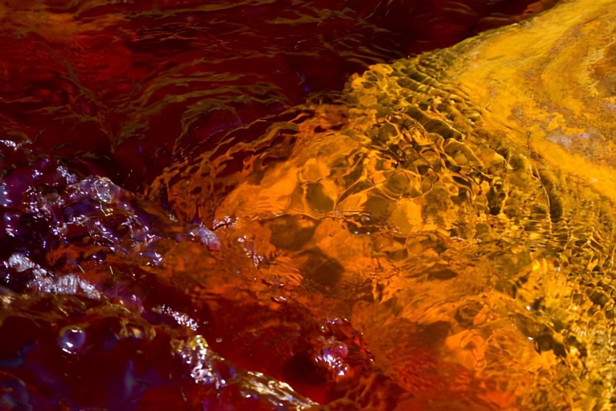 地球上最大的史前蛇,地球最大的水蛇