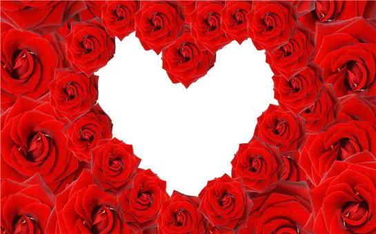 520送你最美的玫瑰花,520把最美的祝福送给幸福的你