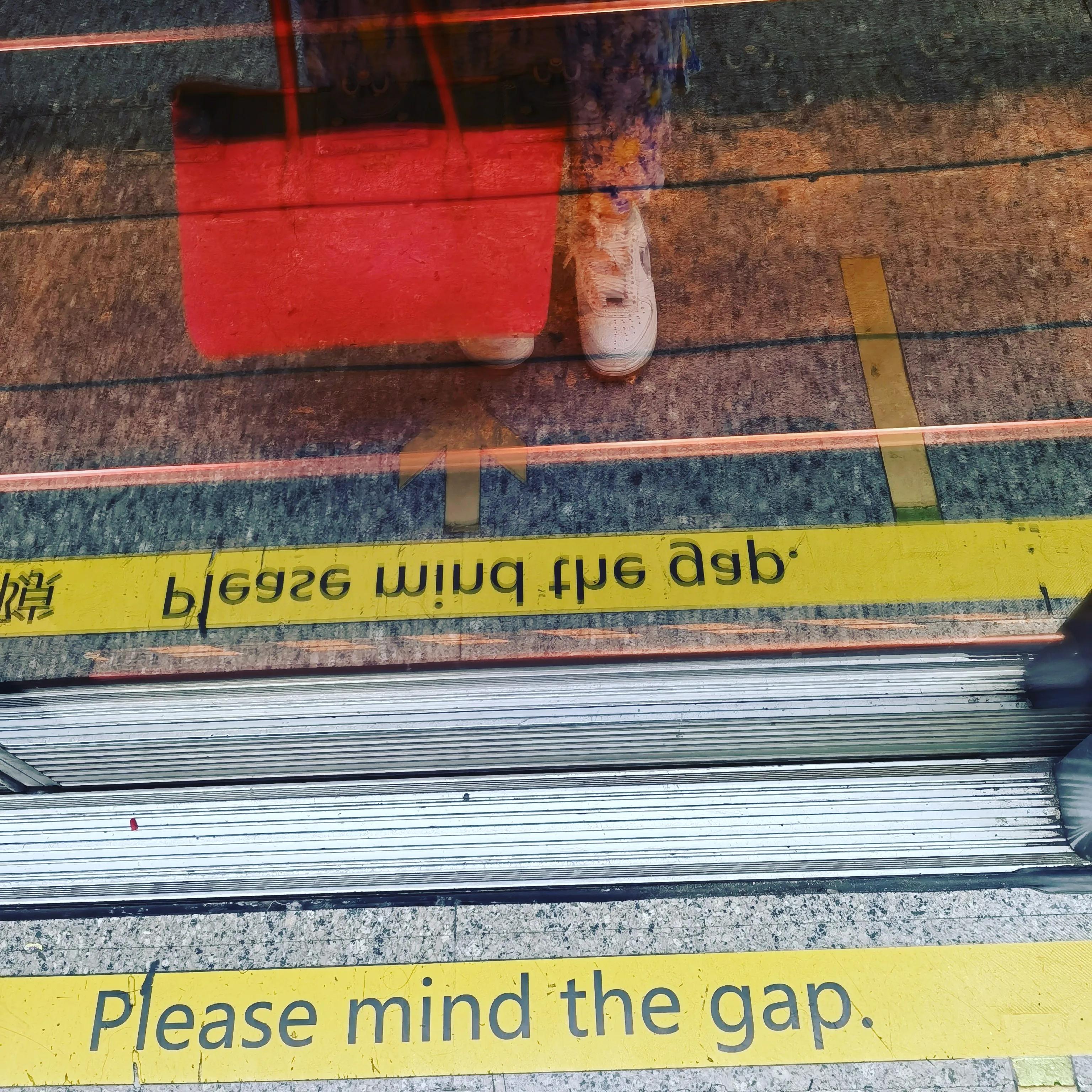 记录生活中的小美好草莓采摘,记录生活中的小美好摘蓝莓