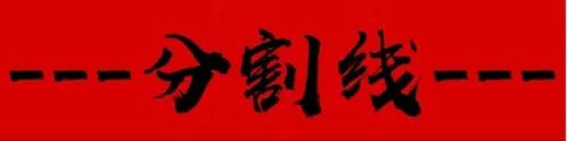 茨维考足球俱乐部布兰德,茨维考足球俱乐部