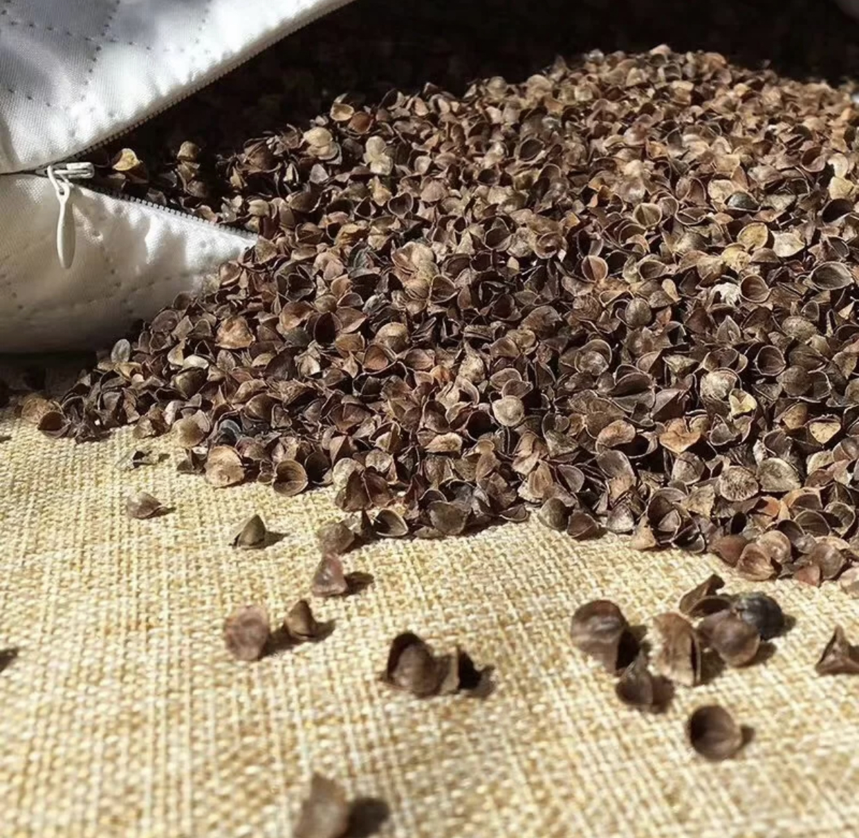 荞麦枕乳胶枕到底哪个好,睡乳胶枕好还是荞麦枕好