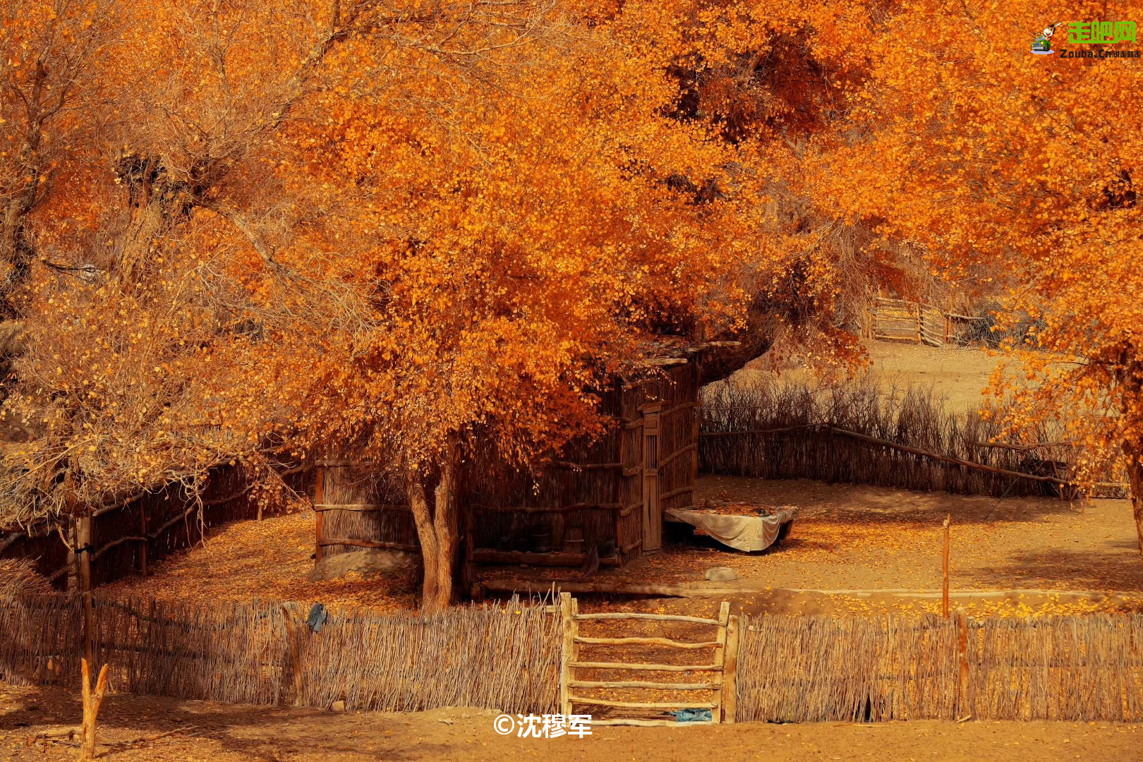 国内最值得自驾的七条绝美路线,此生必去的中国100个攻略