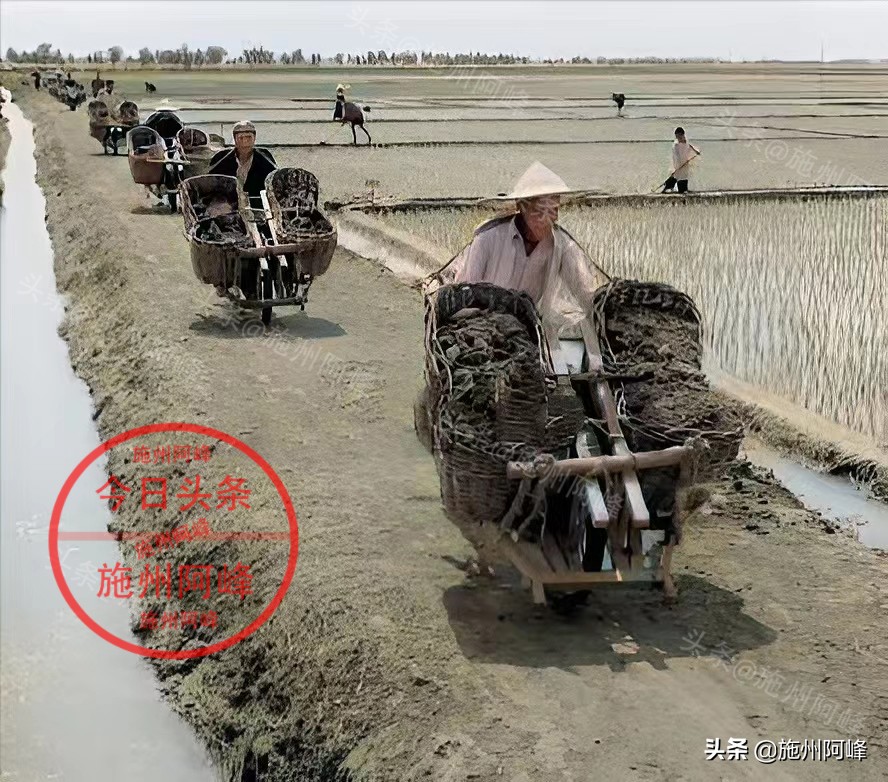 农民推独轮车买肥料,农村80年代农具照片真实照片